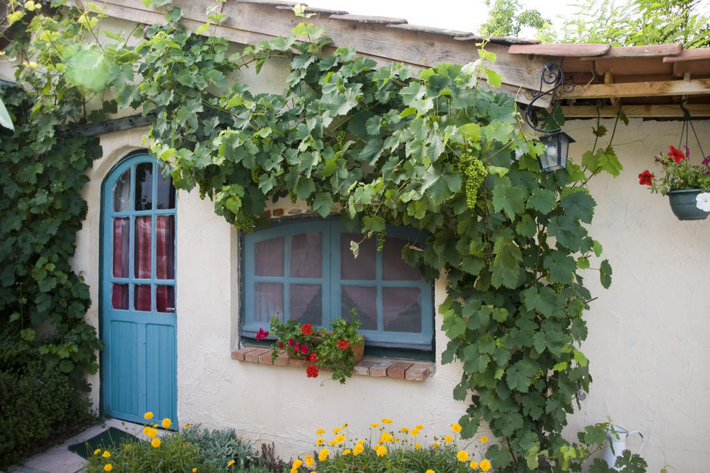 Chambre D'Hotes Oeuil De Bouc Madiran Szoba fotó